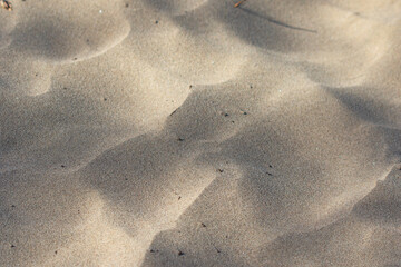 sand on the beach, sand with small wind dunes close-up