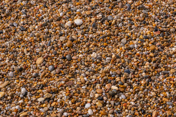 Colored wet pebbles on the beach