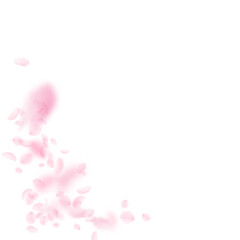 Sakura petals falling down. Romantic pink flowers corner. Flying petals on white square background. Love, romance concept. Tempting wedding invitation.