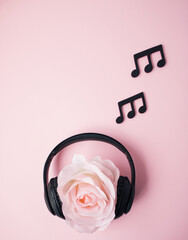 Pink big rose with headphones and black music notes.ž
minimal spring and music concept.