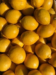 lemons in the market