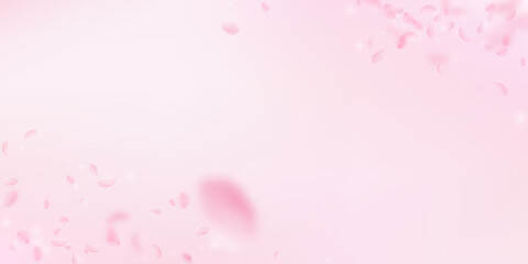 Sakura petals falling down. Romantic pink flowers corners. Flying petals on pink wide background. Love, romance concept. Likable wedding invitation.