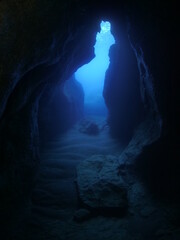 cave diving underwater exploring caves with fish and having fun ocean scenery sun beams and rays...