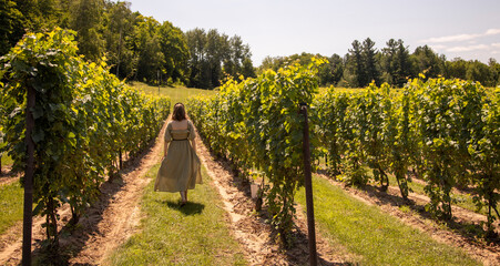 Fototapeta na wymiar woman walking through vinyard in summer