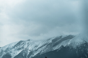 Fototapeta na wymiar Carpathian winter. Tatra mountains in cold winter scenery, view from Lapszanka Pass