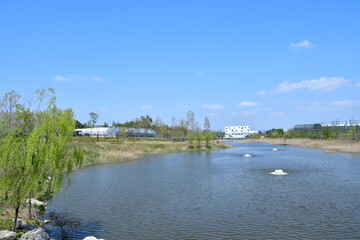 Obraz premium 봄 풍경 