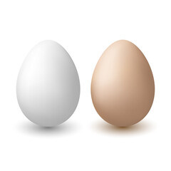 Chicken eggs on white background.