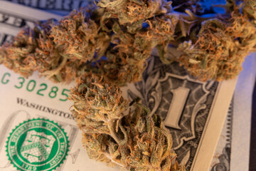 Cannabis Buds on 1 Dollar banknote. Drugs and cash. Purchase of Drugs and medicine. Concept