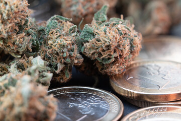 Cannabis Buds on top of Euro coins. Weed Flower and Money. Dry Hamp Buds on Coins