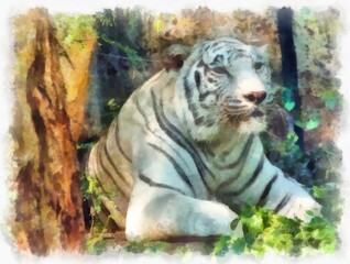 white tiger sleeping in the bushes watercolor style illustration impressionist painting.