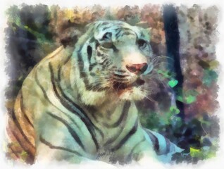 white tiger sleeping in the bushes watercolor style illustration impressionist painting.