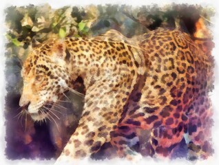 leopard in different poses watercolor style illustration impressionist painting.