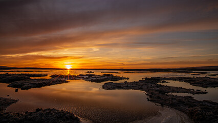 Alviso Marina County Park