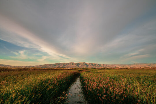 Alviso Marina County Park