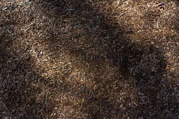 Sawdust-looking playground texture with chopped up shards of wood.