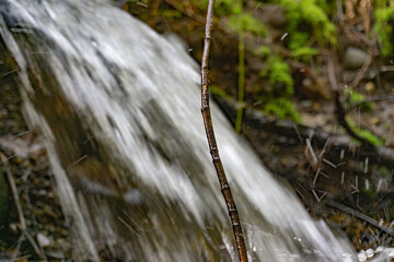 Waterfall exploding in background while focus remains on a single stick.