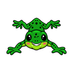 Cute little frog cartoon character