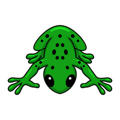 Cute little frog cartoon character