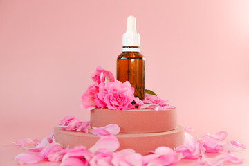 Rose essential oil in a glass bottle and rose flowers on a pink podium on a pink background.natural...