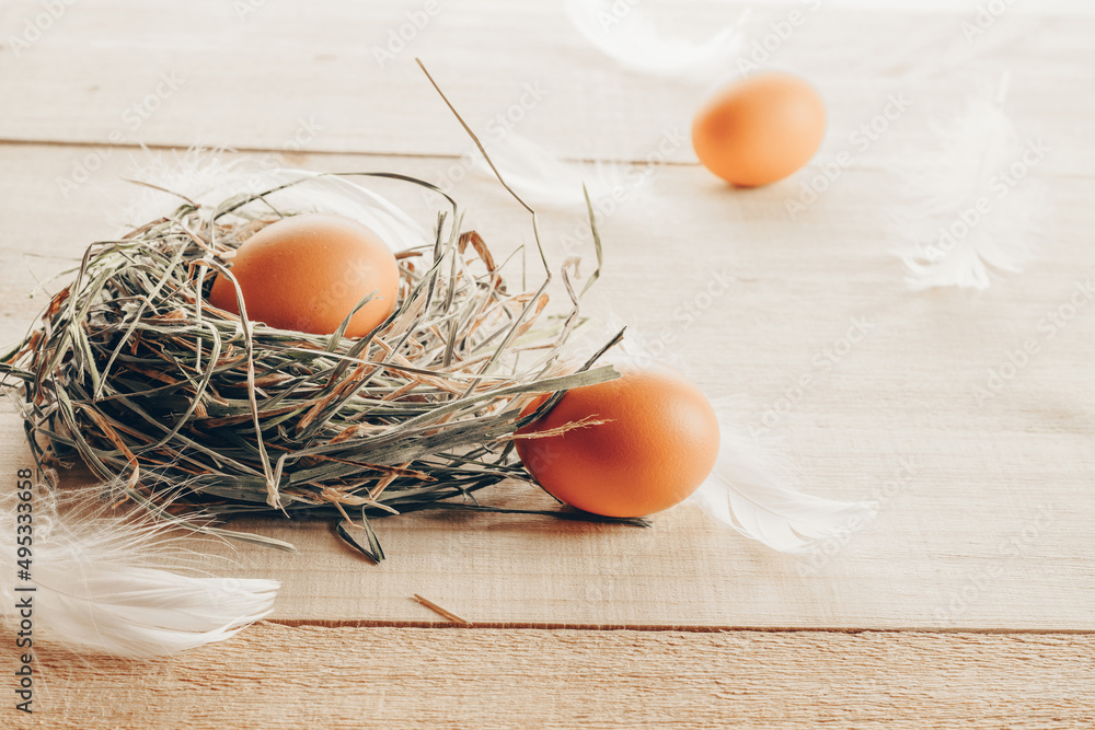 Canvas Prints easter eggs color in basket with spring tulips, white feathers on wooden table background in happy e