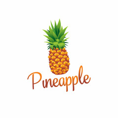 pineapple vector illustration