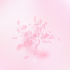 Obraz na płótnie Canvas Sakura petals falling down. Romantic pink flowers explosion. Flying petals on pink square background. Love, romance concept. Exotic wedding invitation.