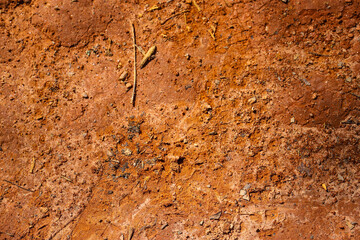 red dirt texture with leaves an branches at Sope Creek Paper Mill Ruins trail in Marietta Georgia...