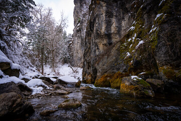 Stream in the Utah mountains