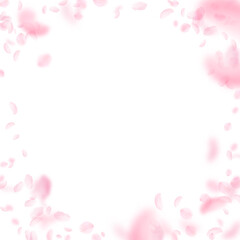 Fototapeta na wymiar Sakura petals falling down. Romantic pink flowers vignette. Flying petals on white square background. Love, romance concept. Emotional wedding invitation.