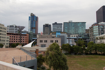 Wellington skyscrapers at city center, New Zealand.