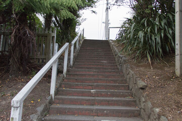 Stairs up in Wellington suburban, New Zealand.
