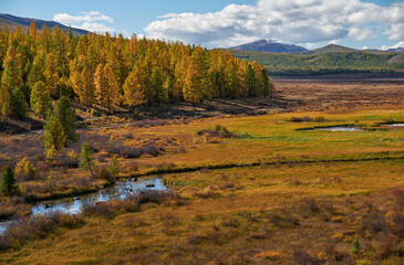 Altai-Fluss Kurkurek mit Lärchenwald auf dem Eshtykel-Plateau. © Serg Zastavkin