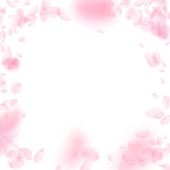 Fototapeta na wymiar Sakura petals falling down. Romantic pink flowers vignette. Flying petals on white square background. Love, romance concept. Ideal wedding invitation.