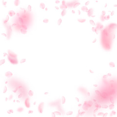 Sakura petals falling down. Romantic pink flowers vignette. Flying petals on white square background. Love, romance concept. Fine wedding invitation.