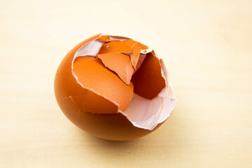 Egg shell. Broken egg shell. Crush the egg shell.