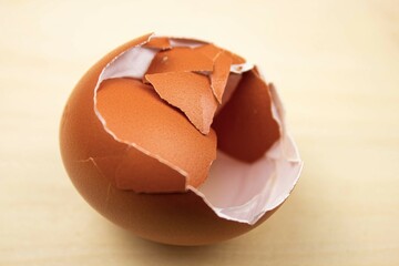 Egg shell. Broken egg shell. Crush the egg shell.