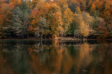 Autumn season landscapes in Yedigoller. Bolu , Turkey