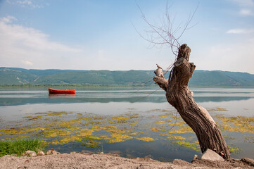 Apolyont lake, Golyazi , Bursa