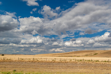 Prairie landscape and a cloudy sky