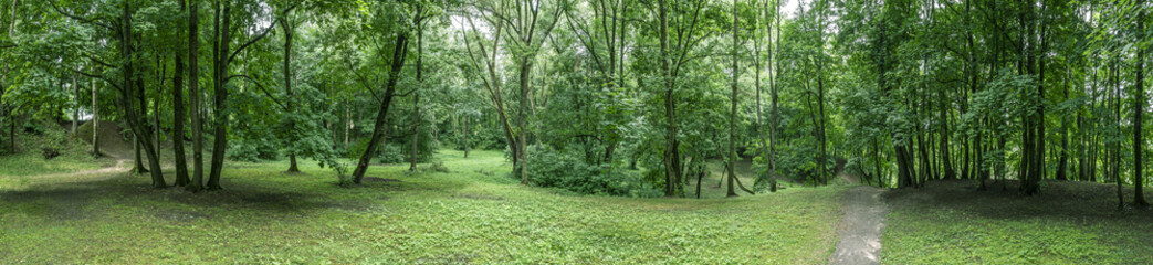Fototapeta na wymiar panoramic aerial view of green park landscape on summer cloudy day. picturesque green forest scenery.