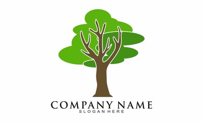 Obraz premium Nature shady tree illustration logo vector.