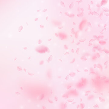 Sakura petals falling down. Romantic pink flowers gradient. Flying petals on pink square background. Love, romance concept. Superb wedding invitation.