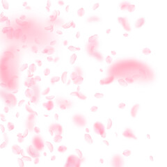 Obraz na płótnie Canvas Sakura petals falling down. Romantic pink flowers gradient. Flying petals on white square background. Love, romance concept. Breathtaking wedding invitation.