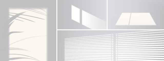 Shadow overlay effect from window, blinds and plant leaves on white wall. Vector realistic mockup of room with sunlight and gray shades of palm tree, window frame and louvers