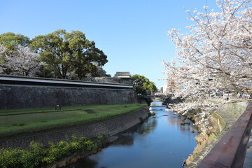 Fototapeta na wymiar 熊本城の堀