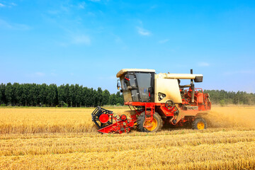 Fototapeta na wymiar combine harvester working on a wheat field