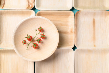 Biodegradable plate made from betel palm, Eco friendly and sustainability concept