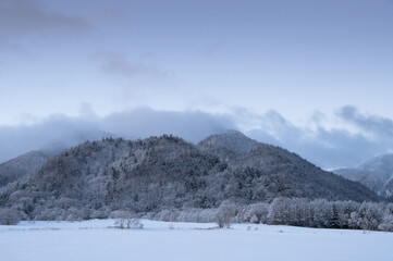 Fototapeta na wymiar 山並みと白く霜を纏った木々の冬景色。