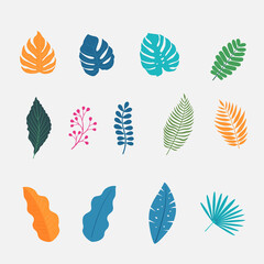 Fototapeta na wymiar Set of tropical botanic floral leaves for summer and spring decoration. Nature vector illustration elements.
