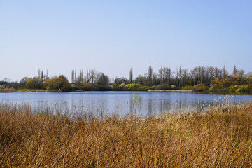 Lanstroper See near Dortmund. Landscape around the lake in winter.
